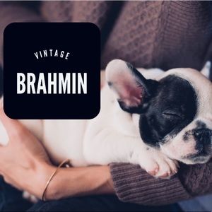 25th Anniversary Quilted Croc Brahmin Handbag